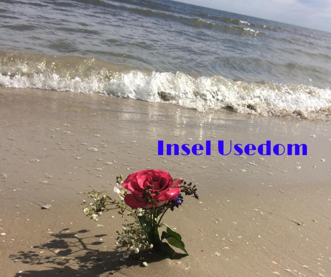 Ferienwohnung Mit Terrasse - Insel Usedom Trassenheide Εξωτερικό φωτογραφία