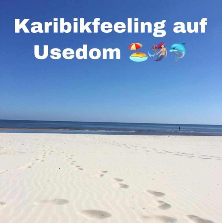 Ferienwohnung Mit Terrasse - Insel Usedom Trassenheide Εξωτερικό φωτογραφία