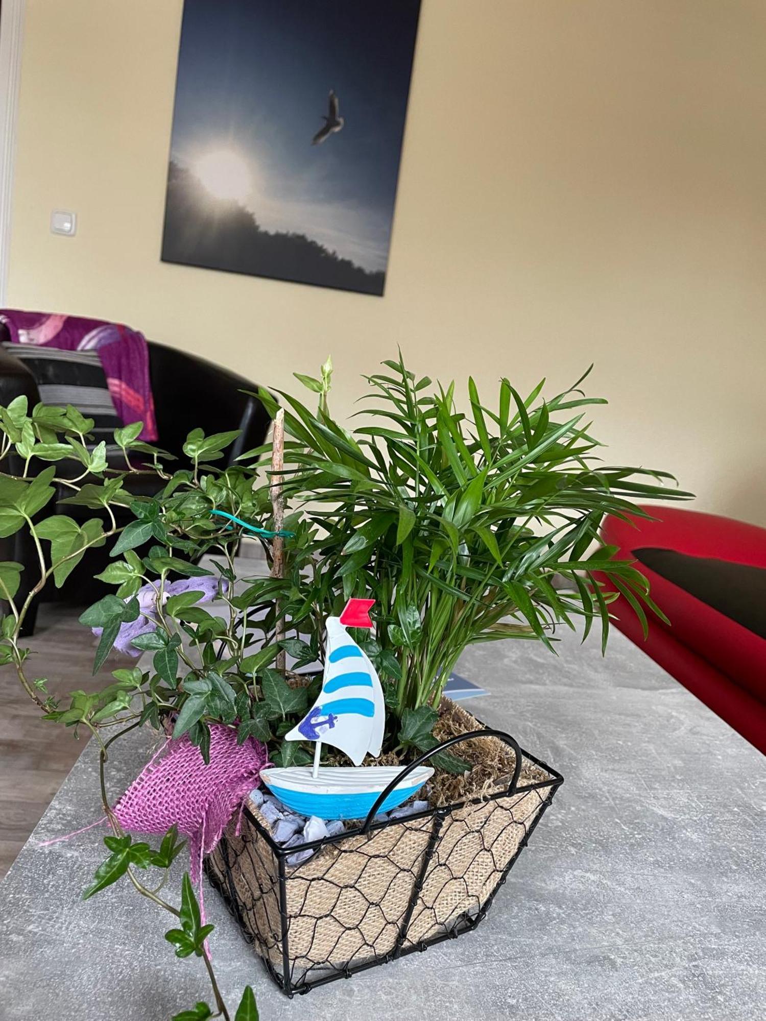 Ferienwohnung Mit Terrasse - Insel Usedom Trassenheide Εξωτερικό φωτογραφία
