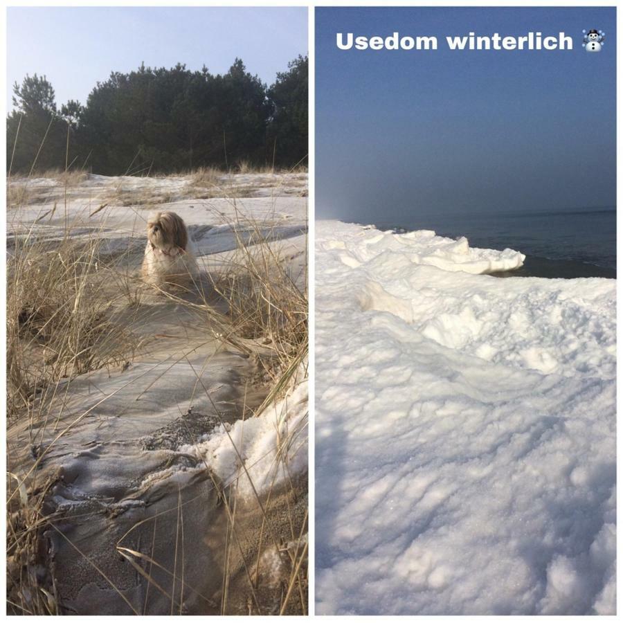 Ferienwohnung Mit Terrasse - Insel Usedom Trassenheide Εξωτερικό φωτογραφία