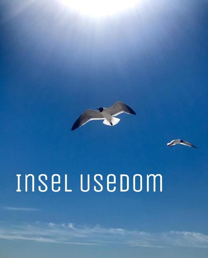 Ferienwohnung Mit Terrasse - Insel Usedom Trassenheide Εξωτερικό φωτογραφία